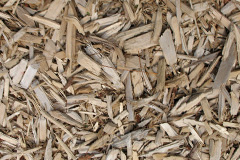 biomass boilers Bunavullin